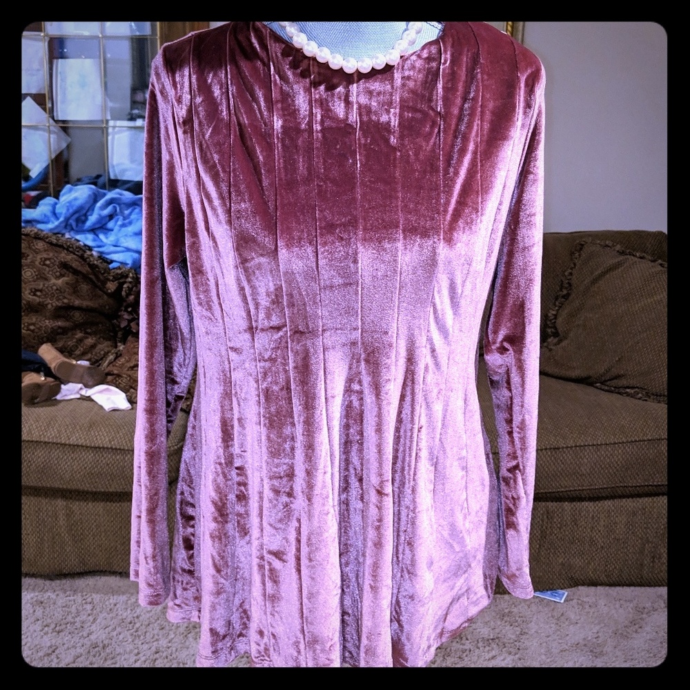 💥EUC💥 Dark Pastel Velvet Pink Long Sleeve